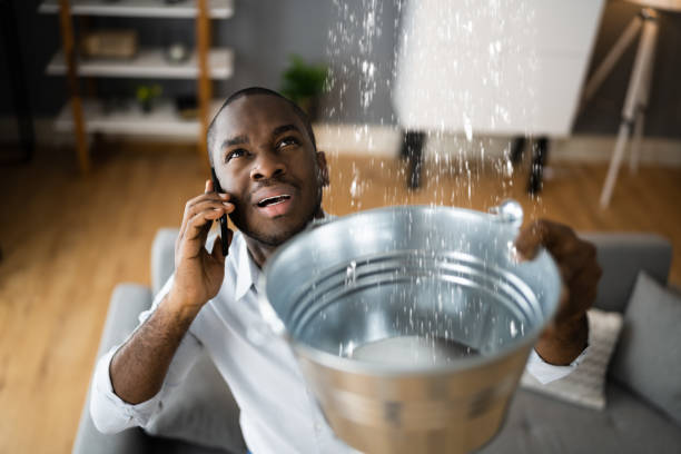 Best Water damage contractors near me  in , NC