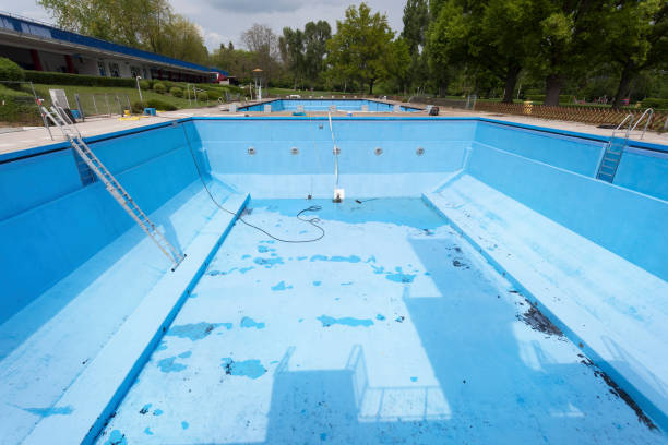 Best Professional water damage repair  in , NC