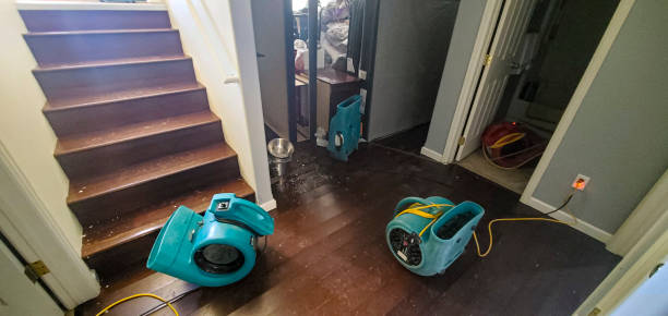 Best Flood damage cleanup  in , NC