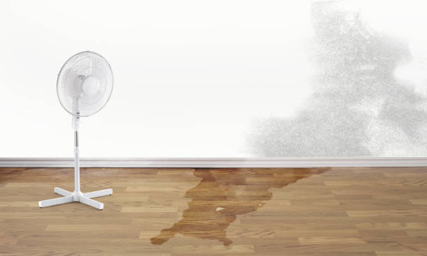 Best Commercial water damage restoration  in , NC