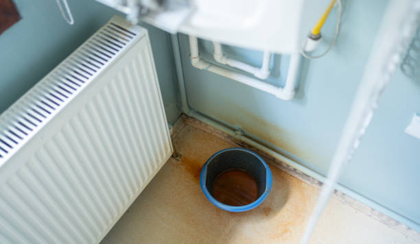 Best Basement water damage restoration  in , NC