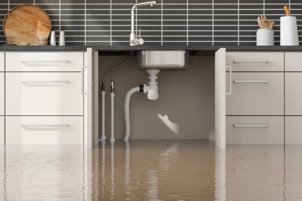 Best 24/7 water damage repair  in , NC