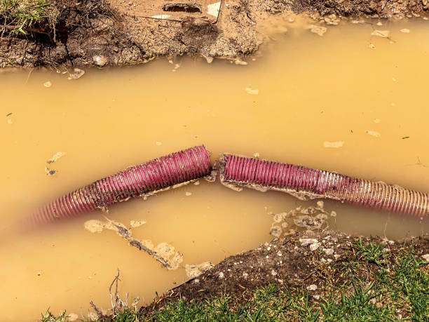 Best Carpet water damage restoration  in , NC