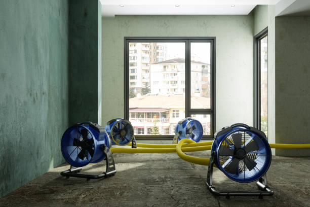 Best Water damage restoration near me  in , NC