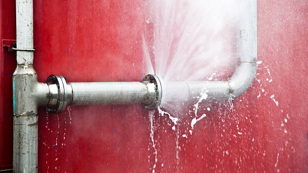 Best Basement water damage restoration  in , NC