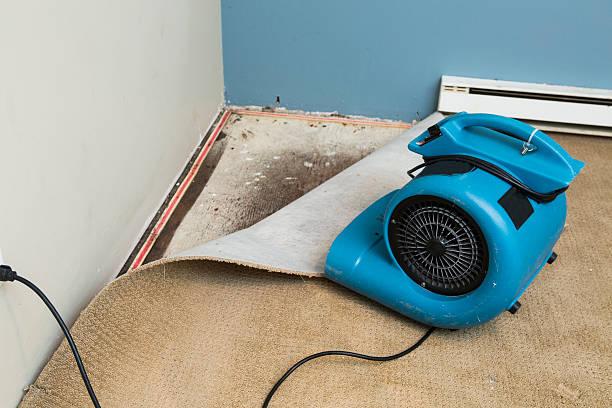 Best Sewage cleanup and water damage restoration  in , NC